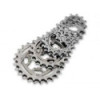 Campagnolo 10 Speed sprocket - 17 Teeth - 171