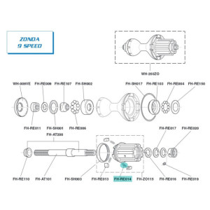 Campagnolo FH-RE014 Pawl spring - [x1]