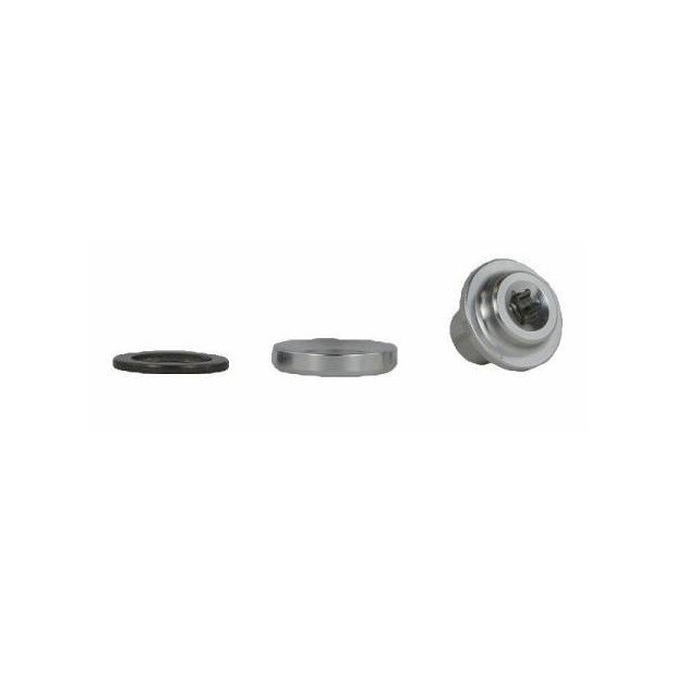 Campagnolo Brake pads screw - Aluminium BR-RE041