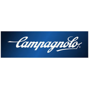 Campagnolo FC-RE752 135 mm 10 Outside Chainring - Grey