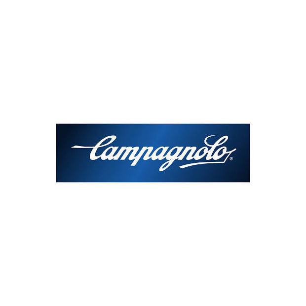 Campagnolo FC-RE752 135 mm 10 Outside Chainring - Grey