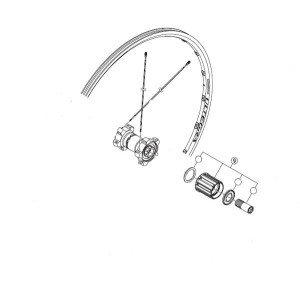 Freewheel Body Shimano Ultegra WH-6700 Y4FP98050