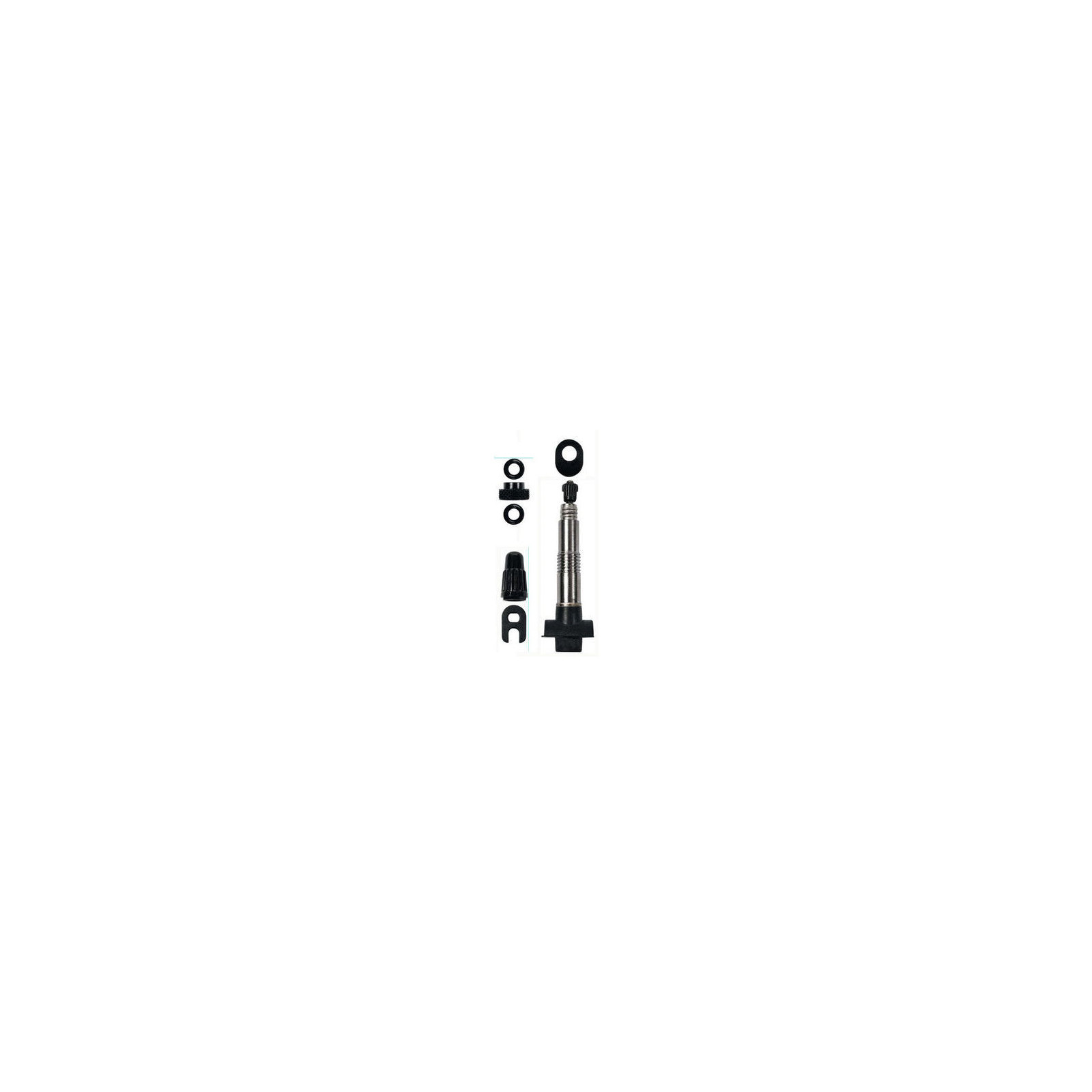wtb tubeless valve