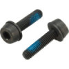 Campagnolo H11 Rear Caliper Extension Screws (10-14mm) 2x19mm