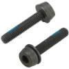 Campagnolo H11 Rear Caliper Extension Screws (15-19mm) 2x24mm