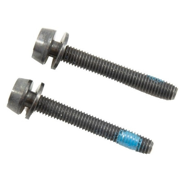 Campagnolo H11 Rear Caliper Extension Screws (30-34mm) 2x39mm