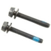 Campagnolo H11 Rear Caliper Extension Screws (30-34mm) 2x39mm