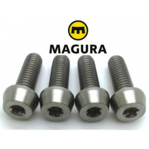 Magura Brake Caliper Bolt Steel IS Mount M6x18 (x1)