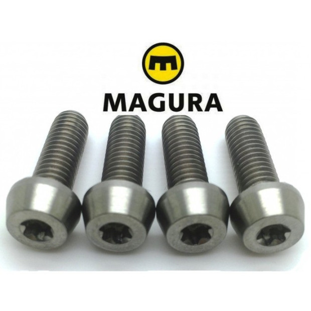 Magura Brake Caliper Bolt Steel IS Mount M6x18 (x1)