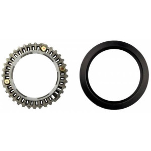 Zipp Cognition Rear Seal Clutch Kit