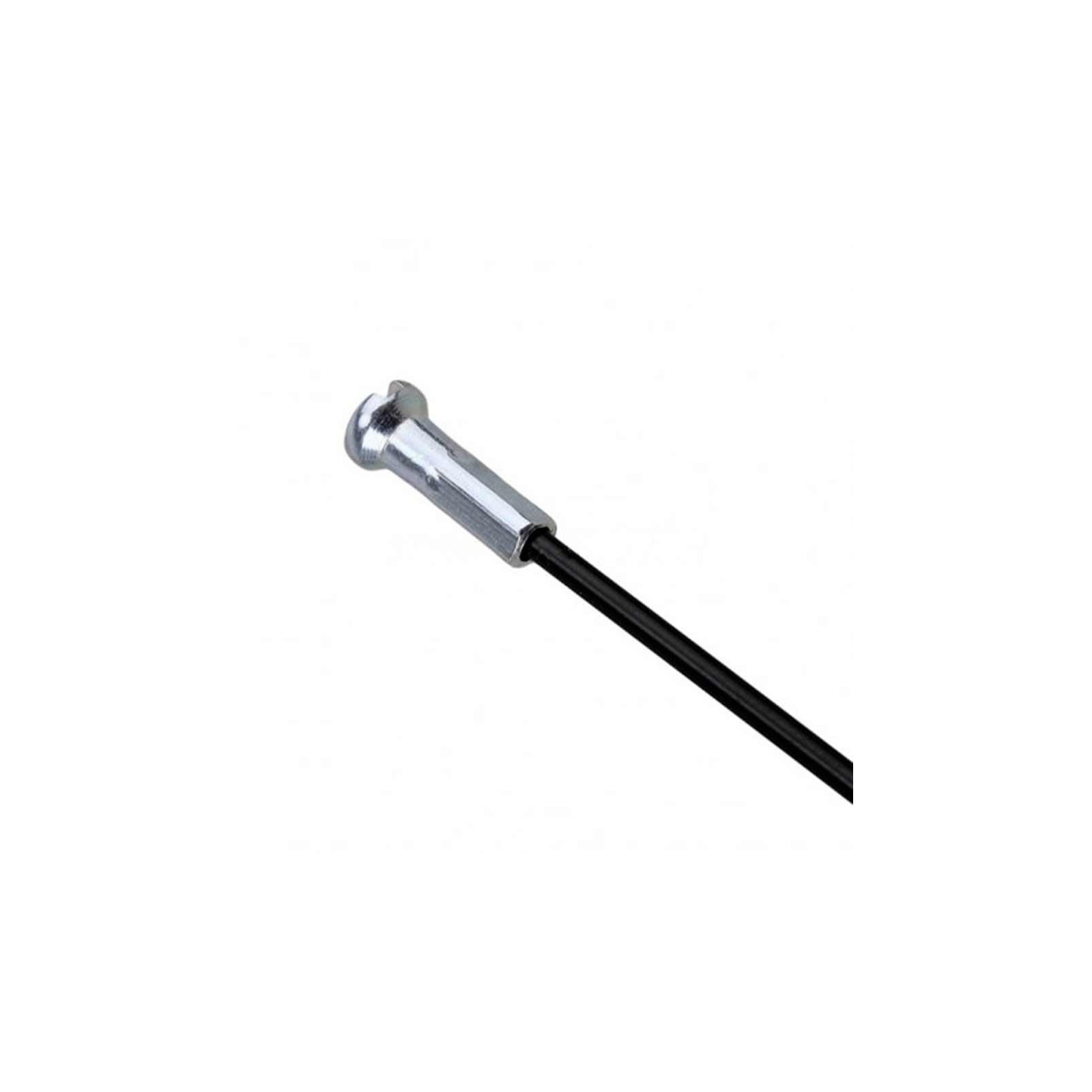 campagnolo-bora-one-35-disc-