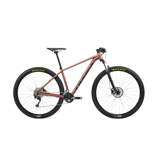 Scott scale sales 40 2019