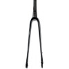 EXS C1607422-300 Carbon Road Fork Disc Brake - Black