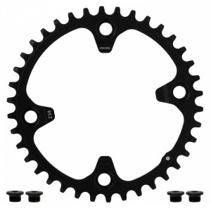 Campagnolo Ekar gravel Chainring 1x13S 123mm