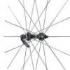Campagnolo 23NE Spoke Kit for Neutron Wheel (Before 2007)