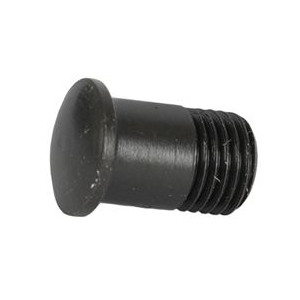 Campagnolo UT-WH020 Spoke Head Magnet Screw for Shamal / Eurus