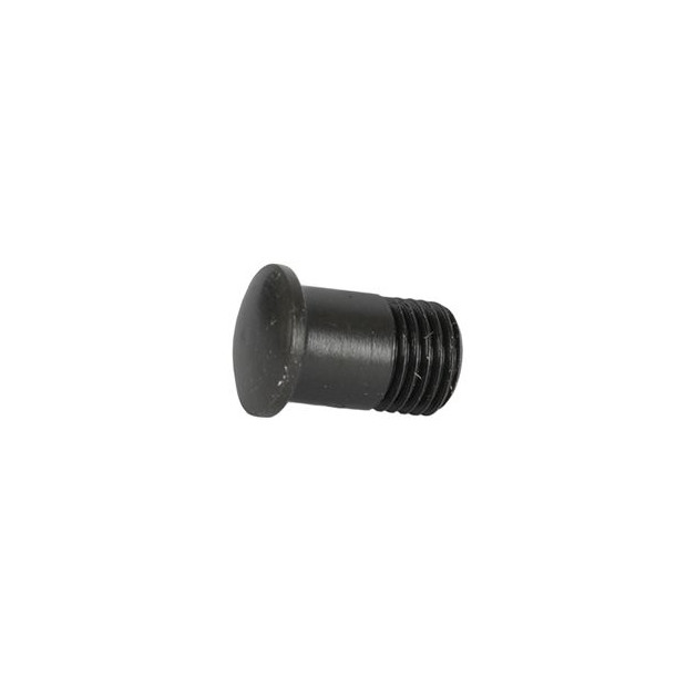 Campagnolo UT-WH020 Spoke Head Magnet Screw for Shamal / Eurus