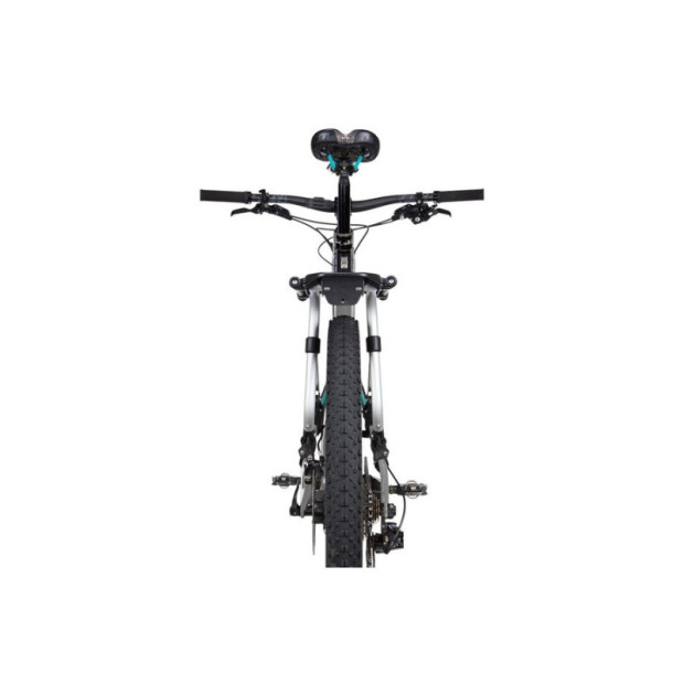 Thule Pack'n Pedal Tour Rack