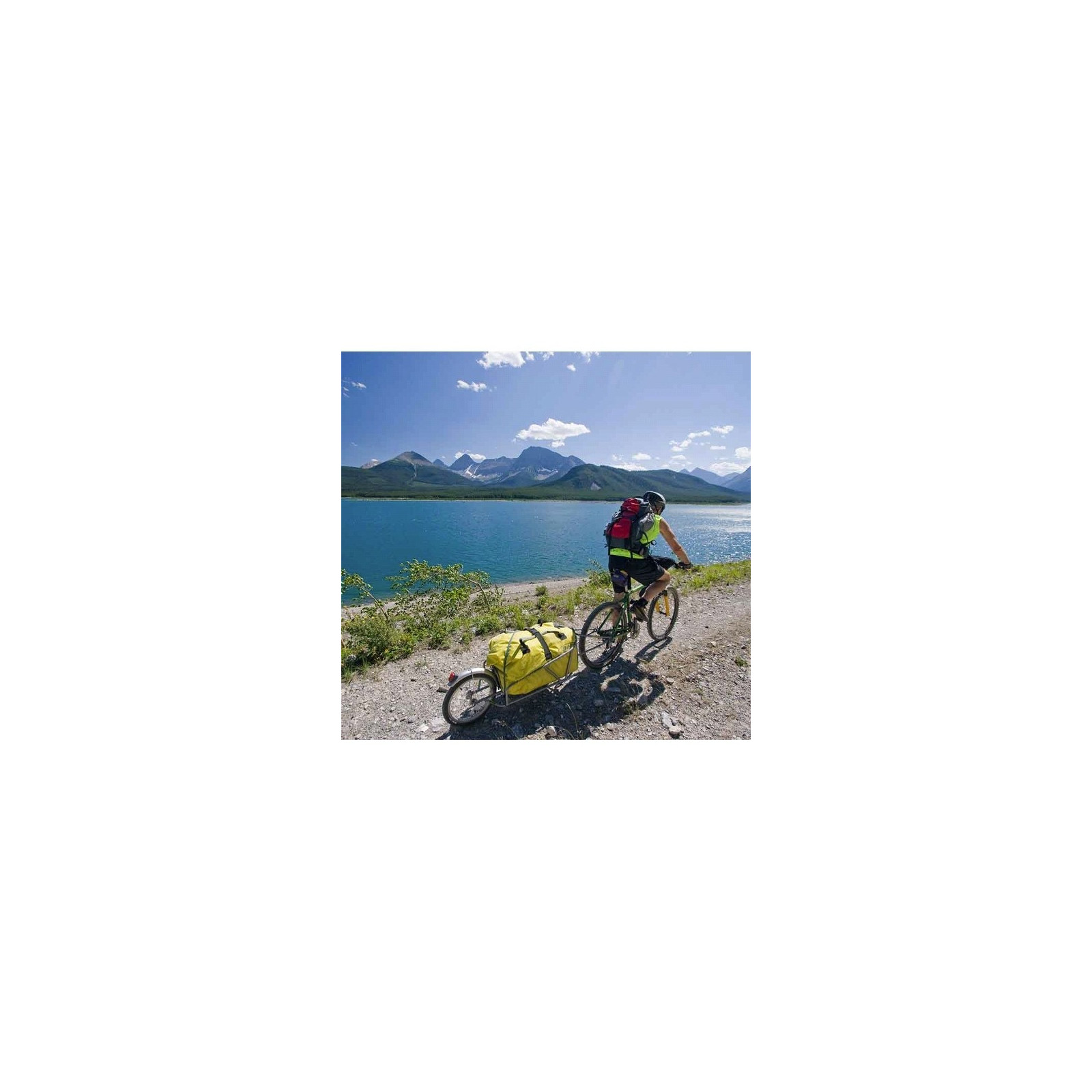 Bob ibex plus online bicycle trailer