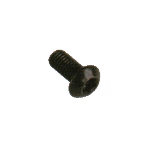 Torx screw M5 for brake disc fixing x 1