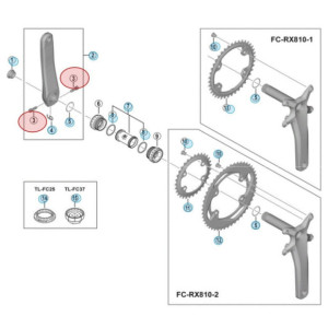 Shimano Ultegra FC-R8000 Crank Screw x1