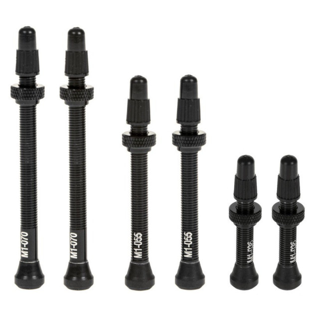 Fulcrum 2-Way Fit Tubeless Valve Kit 70 mm