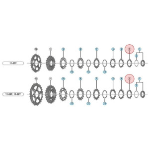 Shimano Dura-Ace CS-R9100 Sprocket - 11 Speeds - 11 Teeth - 11-25/28/30