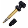 BBB Tubeless Valves (x2) - 48 mm