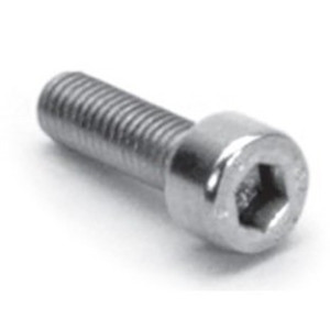 Screw Hexagonal Stainless M5  (x1)