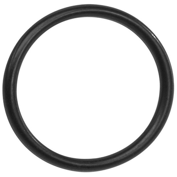 Bosch BDU3XX O-Ring for Sprocket Mount