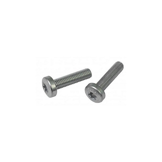 Bosch Screws Kit for Classic Line Frame Battery