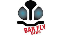 Bar Fly